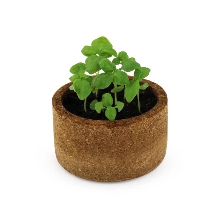 Cork planting kit