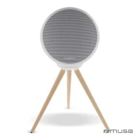 Enceinte 100w marque Muse