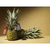 Etiquette bagage ananas