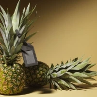 Pineapple luggage tag