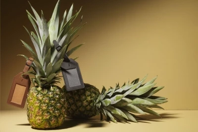 Pineapple luggage tag